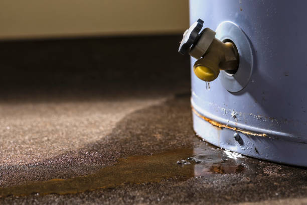 Best Professional water damage repair  in Newton Falls, OH