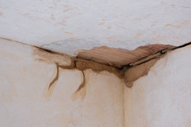 Best Flood damage cleanup  in Newton Falls, OH