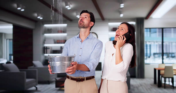 Best Flood restoration services  in Newton Falls, OH