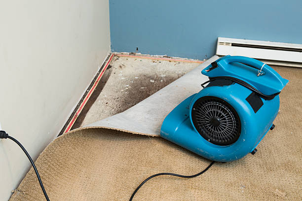 Best Residential water damage restoration  in Newton Falls, OH